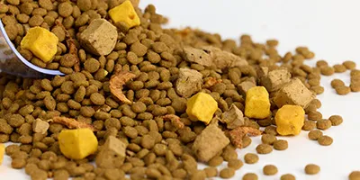 feed additives distributor,povidone K30,Bone Health ingredients