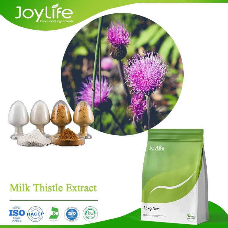 Milk Thistle Extract,Silybin,Silymarin UV80,Silybin 80HPLC,Silymarin HPLC80,water soluble milk thistle extract,silymarin UV40,silymarin UV45
