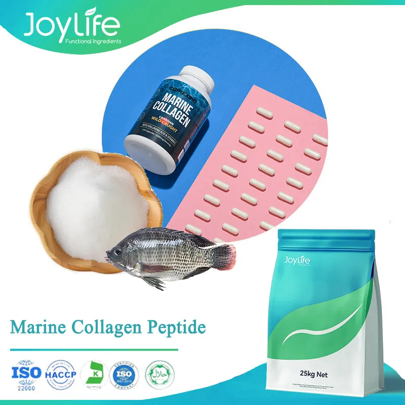 Fish Collagen Peptides powder,vital proteins marine collagen,marine collagen peptide factory,marine collagen powder,best marine collagen peptides,fish collagen powder,hydrolysed marine collagen powder,fish collagen granuar