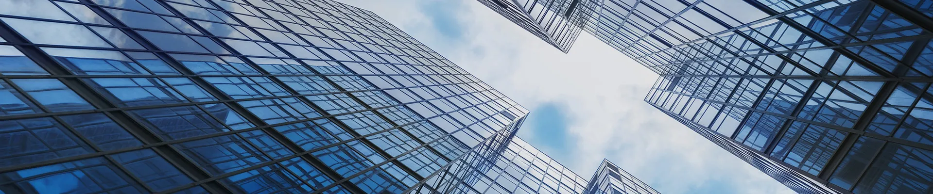 COA of vitamin,TDS of fish oil,TDS of calcium gluconate,COA of creatine monohydrate