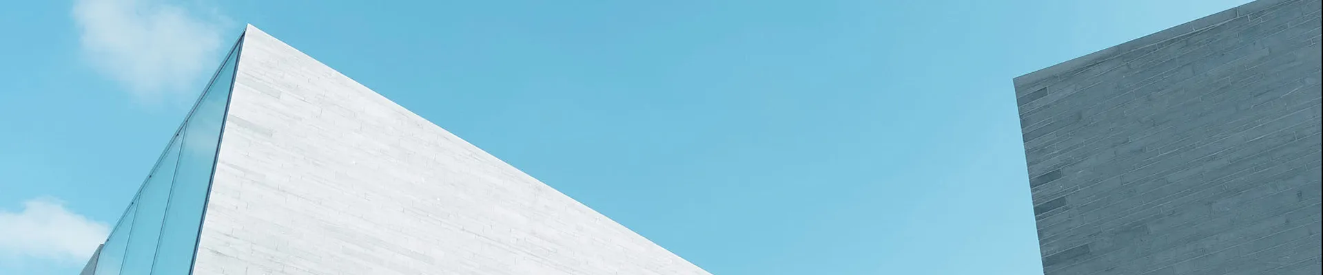 feed additives distributor,povidone K30,Bone Health ingredients