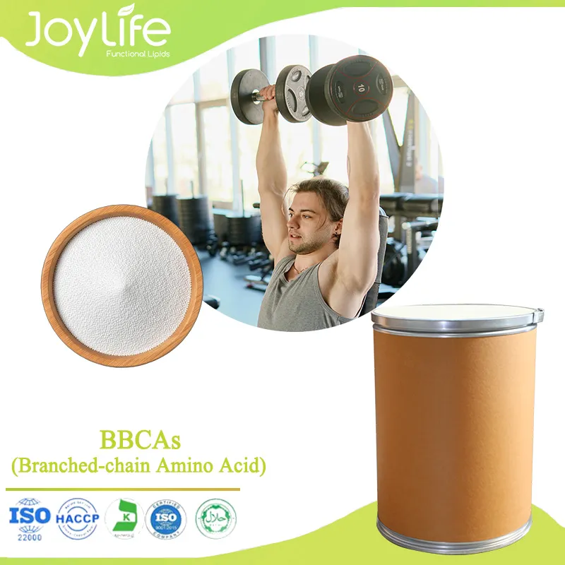 BCAA (브랜치 체인 아미노산),BCAA, 브랜치 체인 아미노산 (Bcaa)